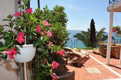 Modern Large Beach Holiday House Riviera Omis