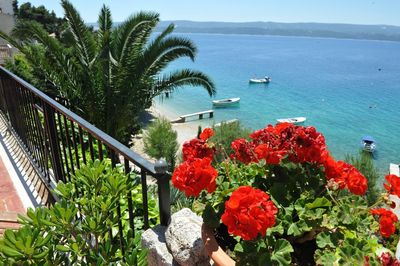 Modern Large Beach Holiday House Riviera Omis