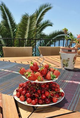 Modern Large Beach Holiday House Riviera Omis