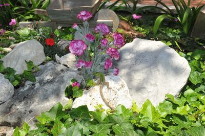 Modern Large Beach Holiday House Riviera Omis