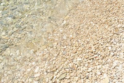 Modern Large Beach Holiday House Riviera Omis
