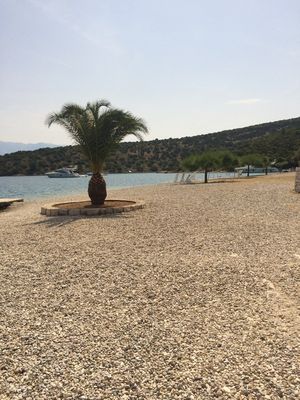 Holiday House with Pool in Pucisca Island Brac