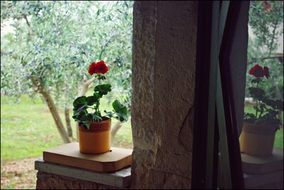 Charming 6 person Holiday House in Posedarje near Zadar