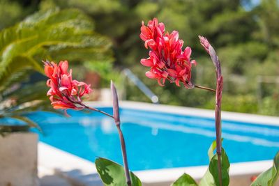 Charming Croatian Beach Villa Mirca with Pool 