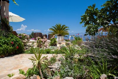 Charming Croatian Beach Villa Mirca with Pool 
