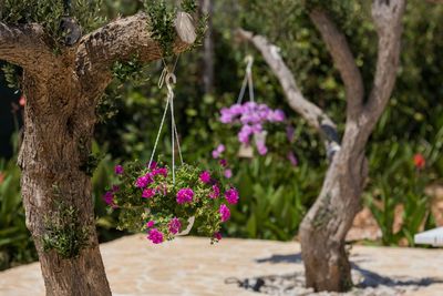Charming Croatian Beach Villa Mirca with Pool 