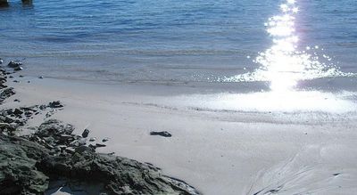 Holiday Apartment House in Riviera Rogoznica Right in Front of the Sea and Beach