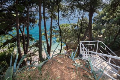 Amazing Beachfront Villa in Peljesac Peninsula near Orebic