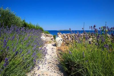 Beautiful Beach Villa Island Vis 