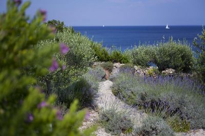 Beautiful Beach Villa Island Vis 