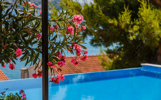 Croatian Holiday House with Pool Tisno