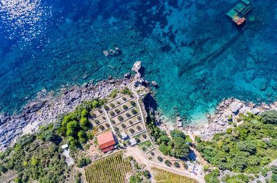 Beautiful Authentic Peljesac Seafront House with Private Beach 
