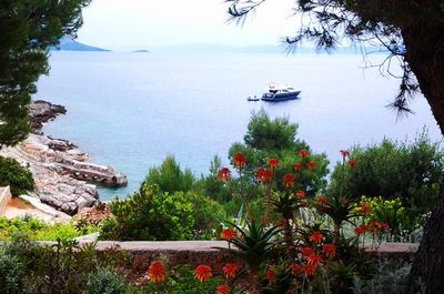 Luxury Stone Villa with Pool, Private Beach, and Own Helipad Peljesac Peninsula 