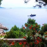 Luxury Stone Villa with Pool, Private Beach, and Own Helipad Peljesac Peninsula 