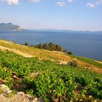 Luxury Stone Villa with Pool, Private Beach, and Own Helipad Peljesac Peninsula 