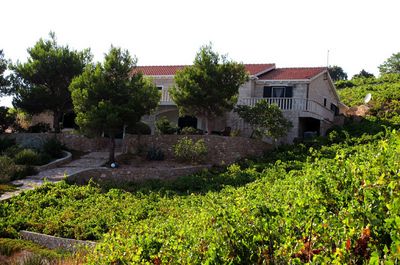 Luxury Stone Villa with Pool, Private Beach, and Own Helipad Peljesac Peninsula 