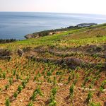 Traditional Stone Villa with Pool, Private Beach, and Own Helipad Peljesac Peninsula 