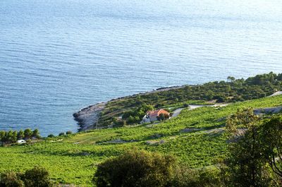 Traditional Stone Villa with Pool, Private Beach, and Own Helipad Peljesac Peninsula 