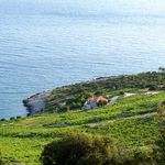 Traditional Stone Villa with Pool, Private Beach, and Own Helipad Peljesac Peninsula 