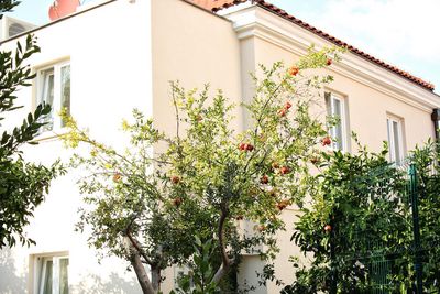 Attractive Villa with Sauna and Pool within Charming Yard near Split Town Center