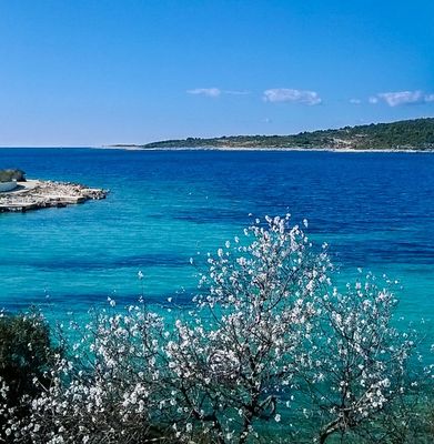 Adorable Holiday House First Row to the Sea with Private Beach near Trogir