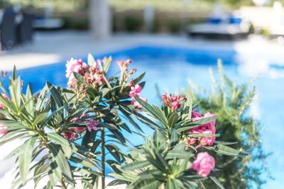5 Star Villa with Pool, Sauna, and Fitness Room in Island Hvar