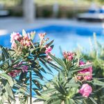 5 Star Villa with Pool, Sauna, and Fitness Room in Island Hvar