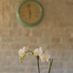 5 Star Villa with Pool, Sauna, and Fitness Room in Island Hvar