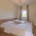 5 Star Villa with Pool, Sauna, and Fitness Room in Island Hvar