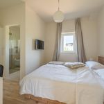 5 Star Villa with Pool, Sauna, and Fitness Room in Island Hvar