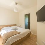 5 Star Villa with Pool, Sauna, and Fitness Room in Island Hvar