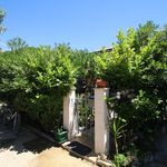 Charming Island Hvar Holiday House near the Sea and Beach