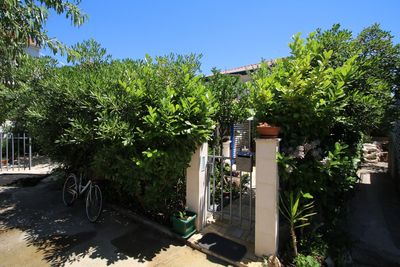 Charming Island Hvar Holiday House near the Sea and Beach
