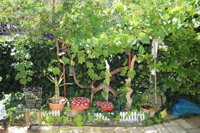 Charming Island Hvar Holiday House near the Sea and Beach