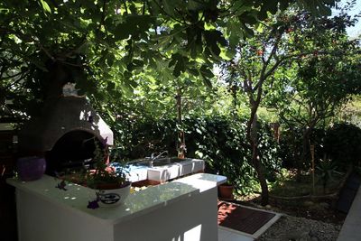 Charming Island Hvar Holiday House near the Sea and Beach