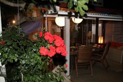 Charming Island Hvar Holiday House near the Sea and Beach