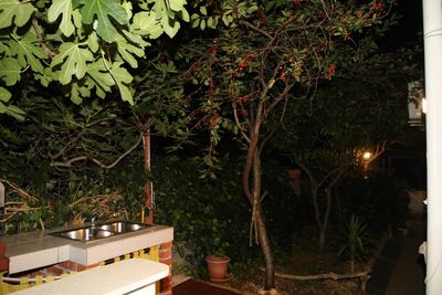Charming Island Hvar Holiday House near the Sea and Beach