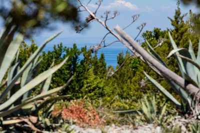 Charming Authentic Holiday House with Sea View and Pool Island Vis