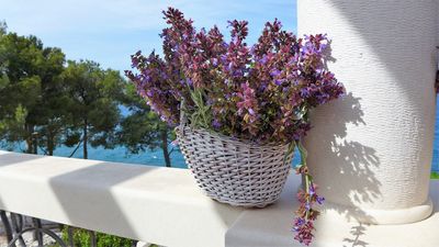 Exclusive Beachfront Luxurious Property in Ciovo near Trogir