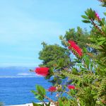 Exclusive Beachfront Luxurious Property in Ciovo near Trogir