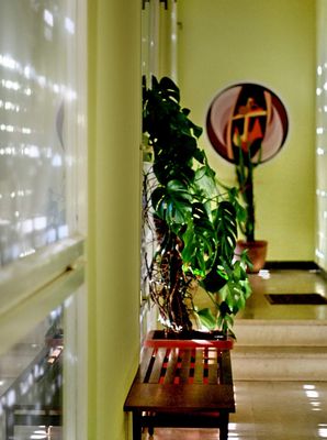 Large Luxury Beach Villa Orebic