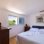 Holiday Home with Pool and Large Terrace near Rogoznica