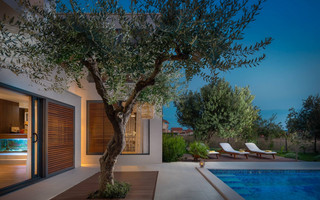 Luxury Villa with Large Pool, Sauna, Jacuzzi, and Fitness near Split and Trogir
