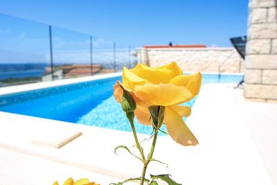 Modern Villa with Pool and Amazing Sea View near Primosten