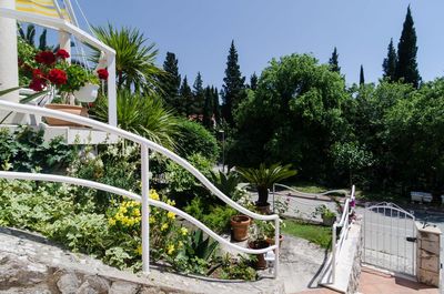 Villa with Pool and Garden near Beach in Mlini