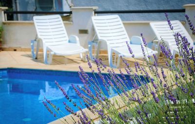 Holiday Home with Pool and Children Playground in Konavle, Dubrovnik Area