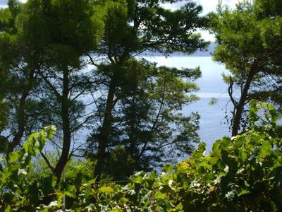 Beautiful 3 Bedroom Holiday House near the Beach in Sumartin Island Brac