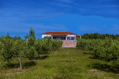 Island Brac Family Holiday House with Pool within amazing Private Yard and Olive Groves in Sutivan