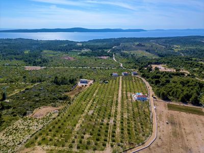 Island Brac Family Holiday House with Pool within amazing Private Yard and Olive Groves in Sutivan