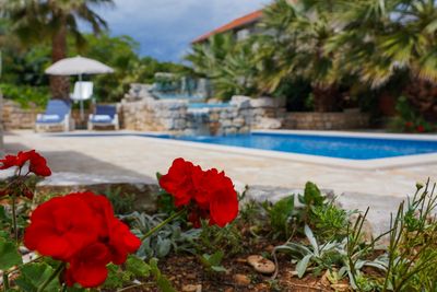 Large Island Brac Children Friendly Villa with Pool near Pebble Beach 